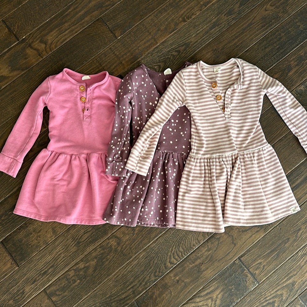 4t lulu and roo long sleeve dress bundle